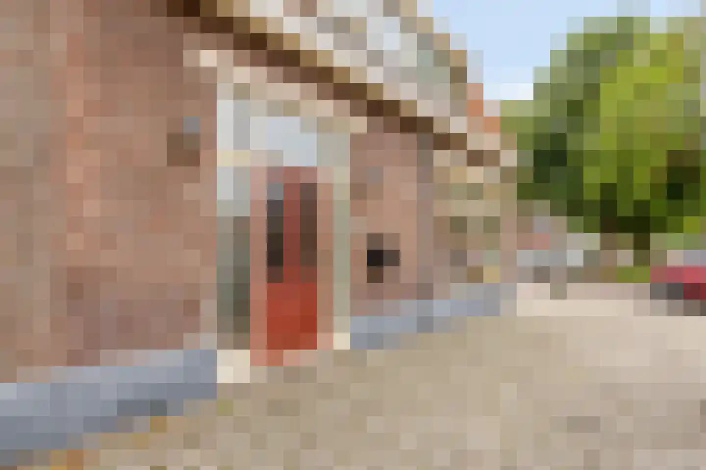 St. Crispijnstraat 73 Waalwijk thumbnail 5