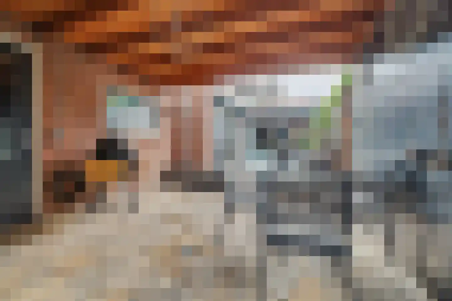 St. Crispijnstraat 9 Waalwijk thumbnail 32