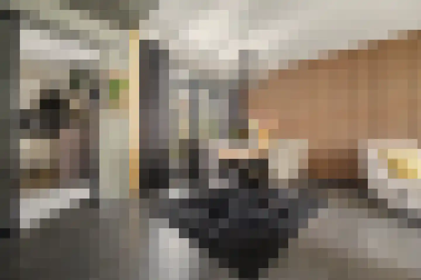 St. Crispijnstraat 9 Waalwijk thumbnail 5