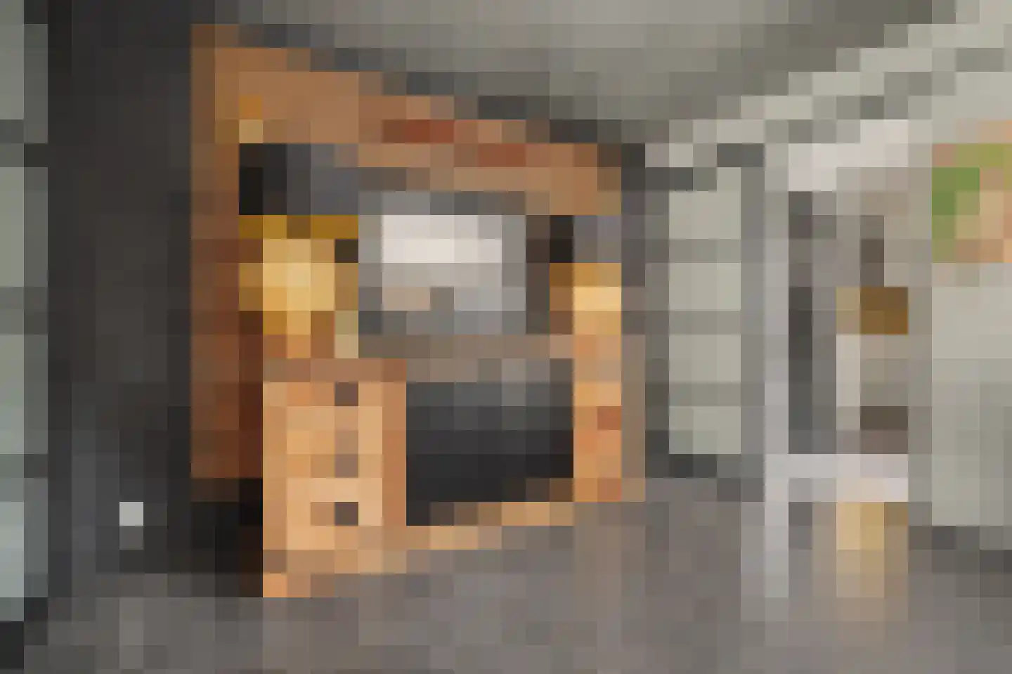 St. Crispijnstraat 9 Waalwijk thumbnail 6