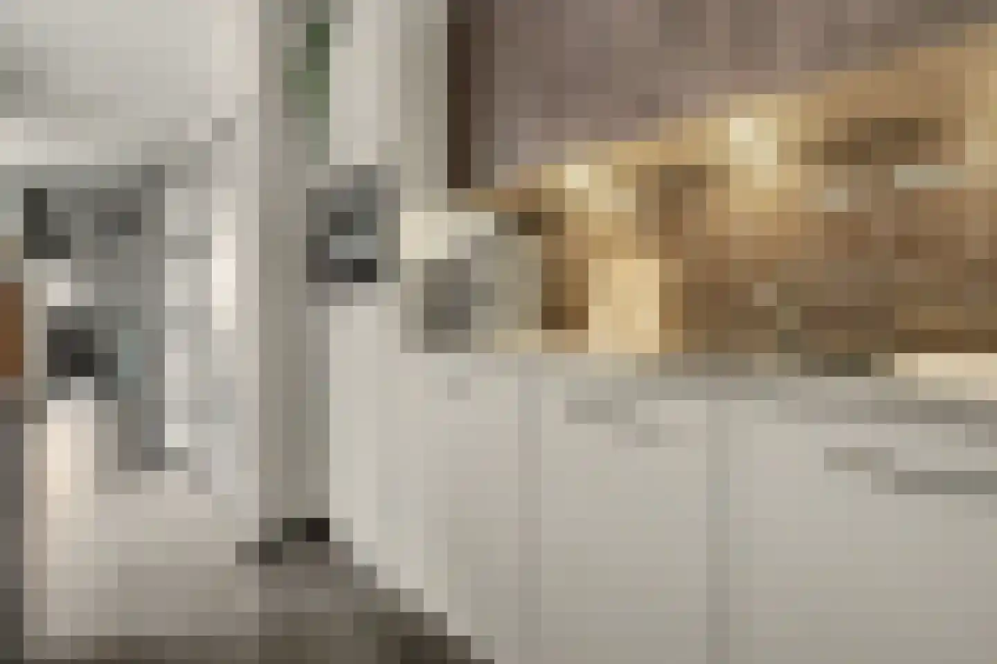 St. Crispijnstraat 9 Waalwijk thumbnail 9