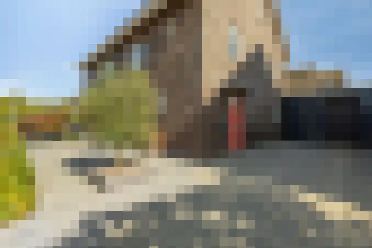 St. Dominicuslaan 15 Westervoort thumbnail 66