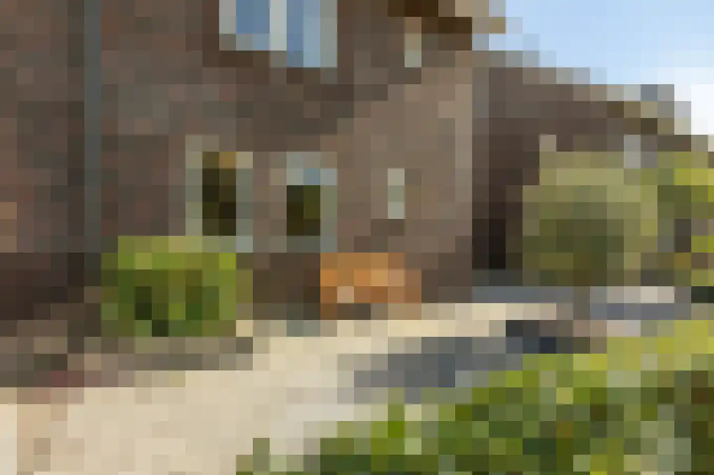 St. Dominicuslaan 15 Westervoort thumbnail 67