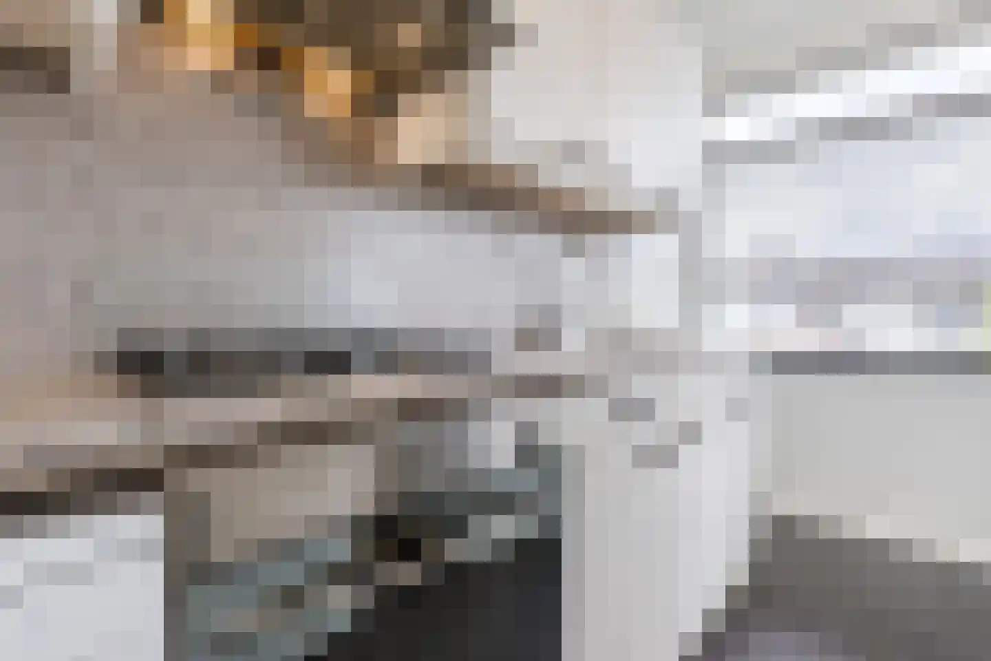 St Eligiuspad 13 Eindhoven thumbnail 15