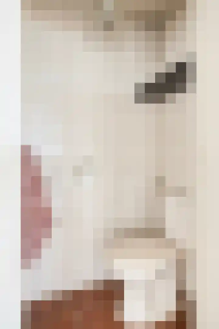 St Eligiuspad 21 Eindhoven thumbnail 12