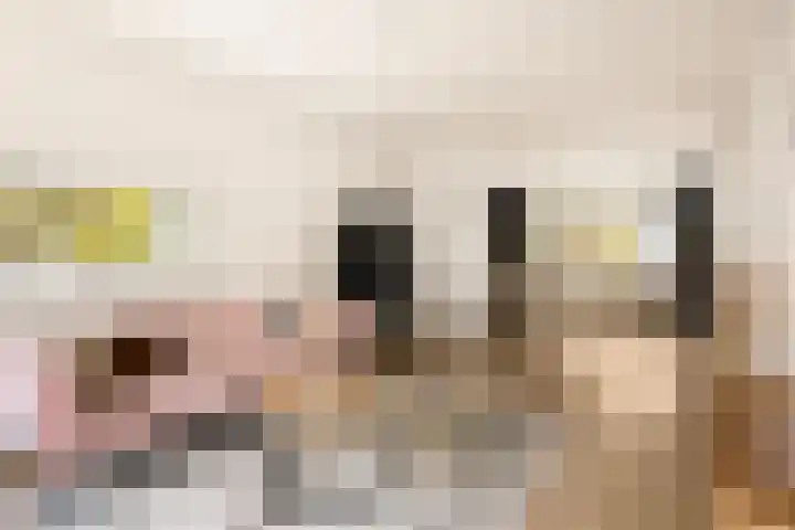 St Eligiuspad 21 Eindhoven thumbnail 15