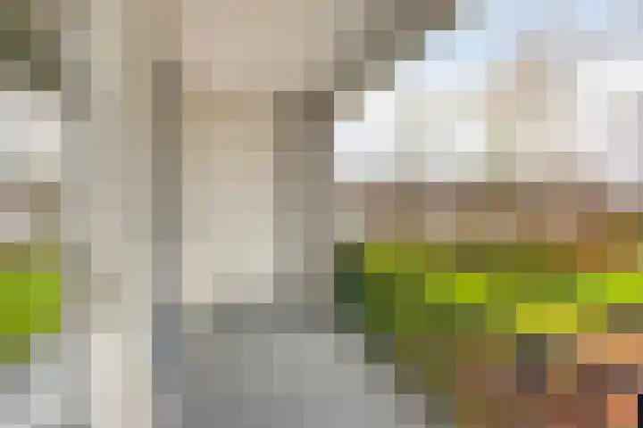 St Eligiuspad 21 Eindhoven thumbnail 24