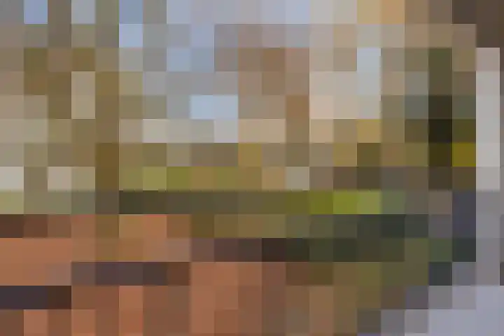 St Eligiuspad 21 Eindhoven thumbnail 25