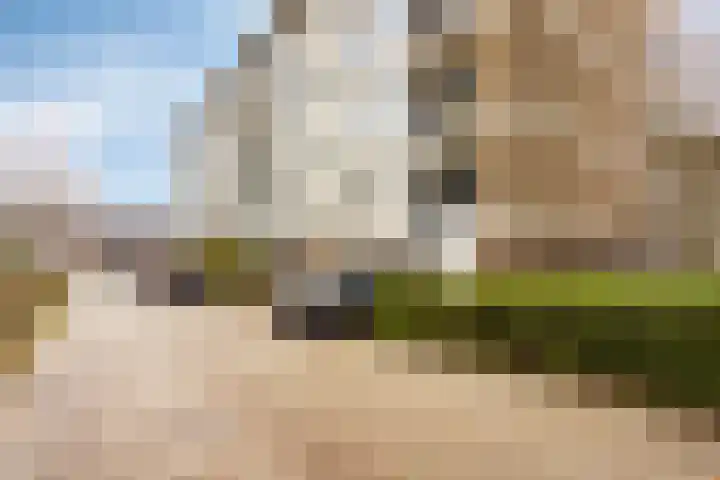 St Eligiuspad 21 Eindhoven thumbnail 4