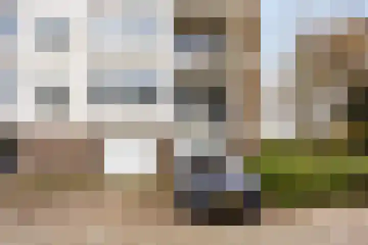 St Eligiuspad 21 Eindhoven thumbnail 7