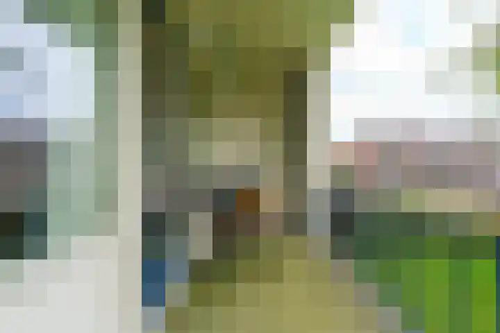 St Eligiuspad 3 Eindhoven thumbnail 27
