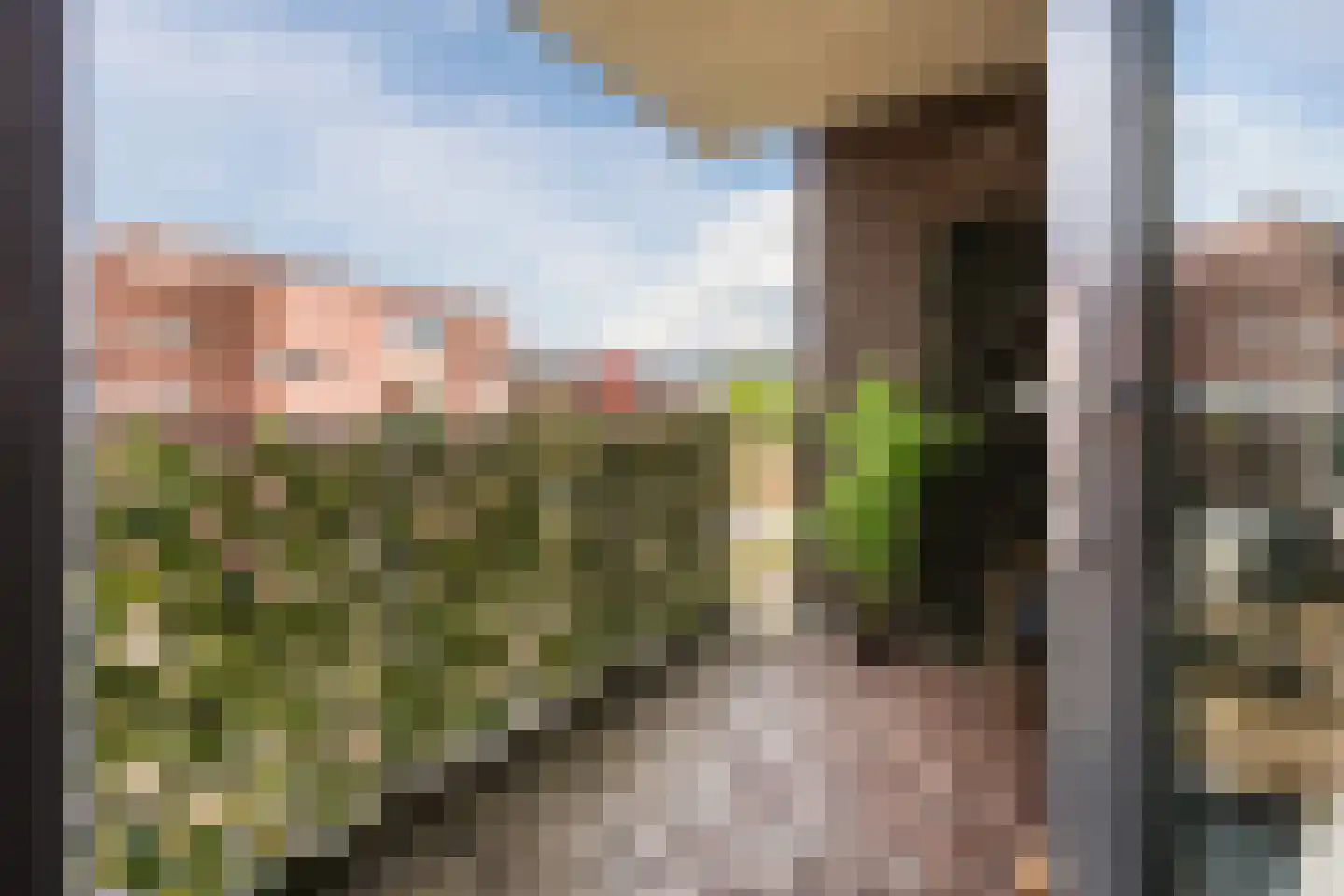 St. Elisabethshof 103 Arnhem thumbnail 31