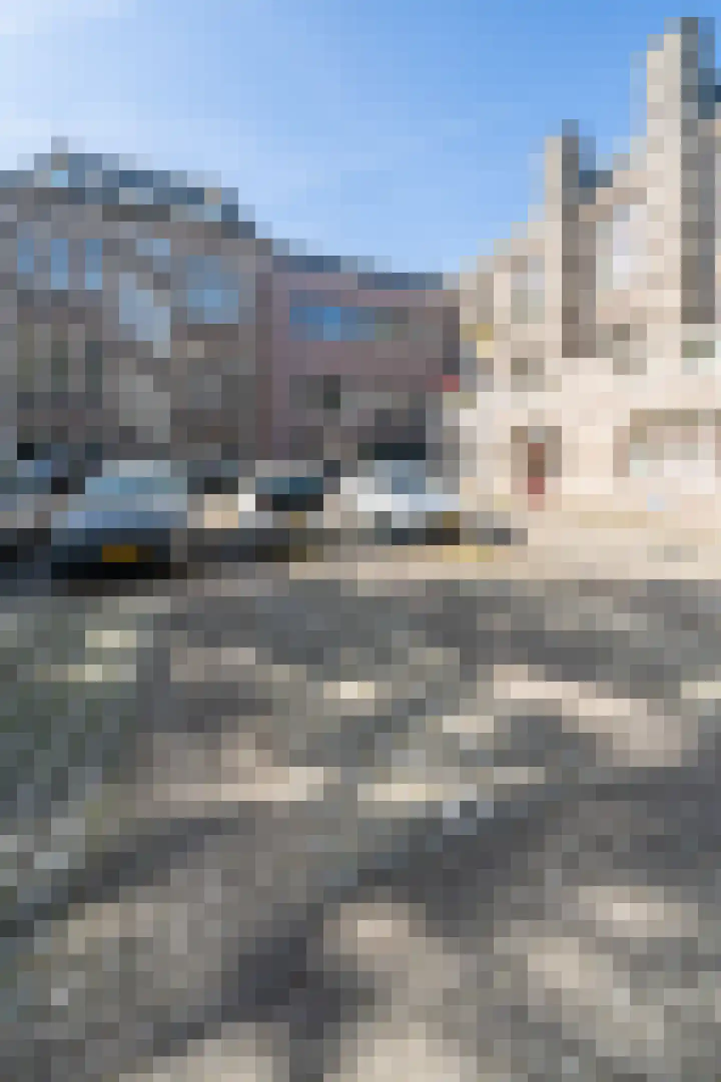 St. Elisabethshof 115 Arnhem thumbnail 27