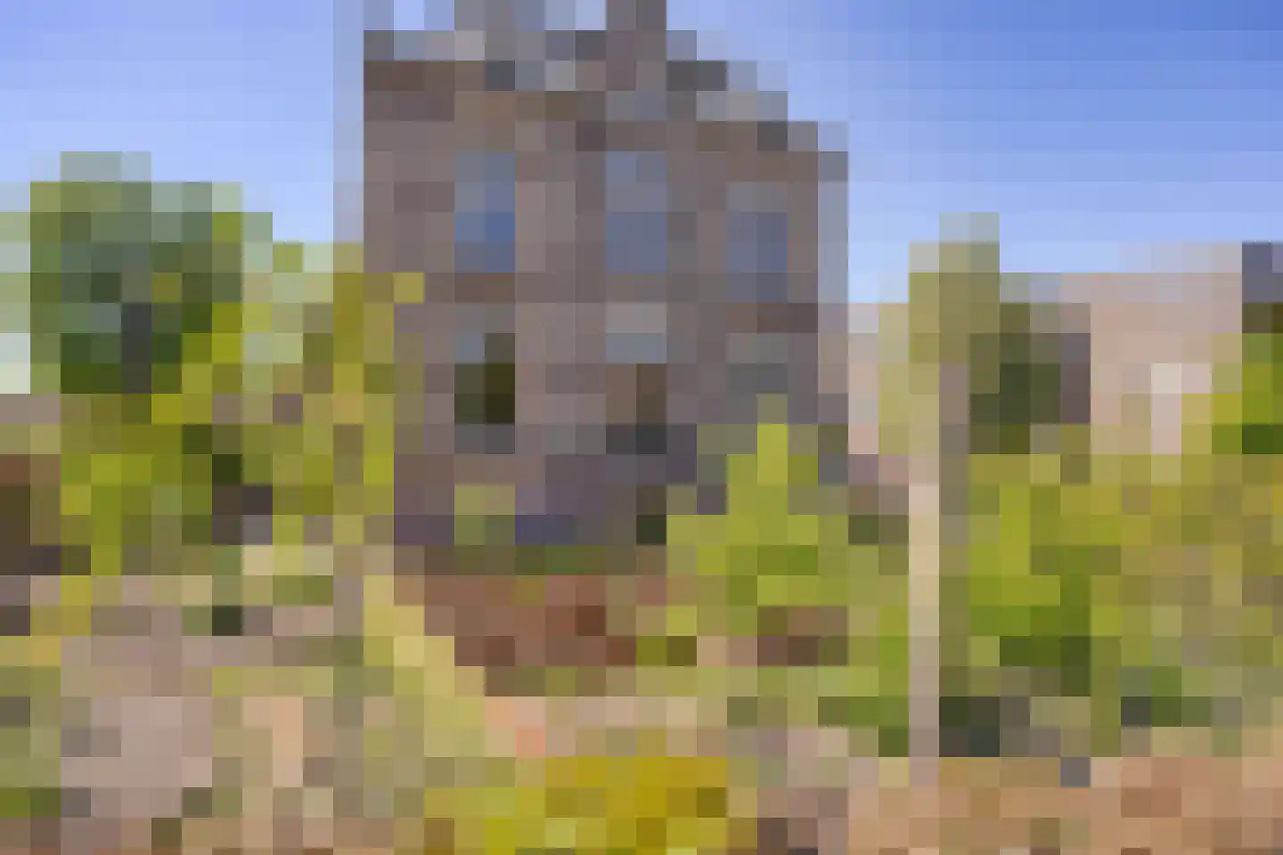 St. Elisabethshof 29 Arnhem thumbnail 29