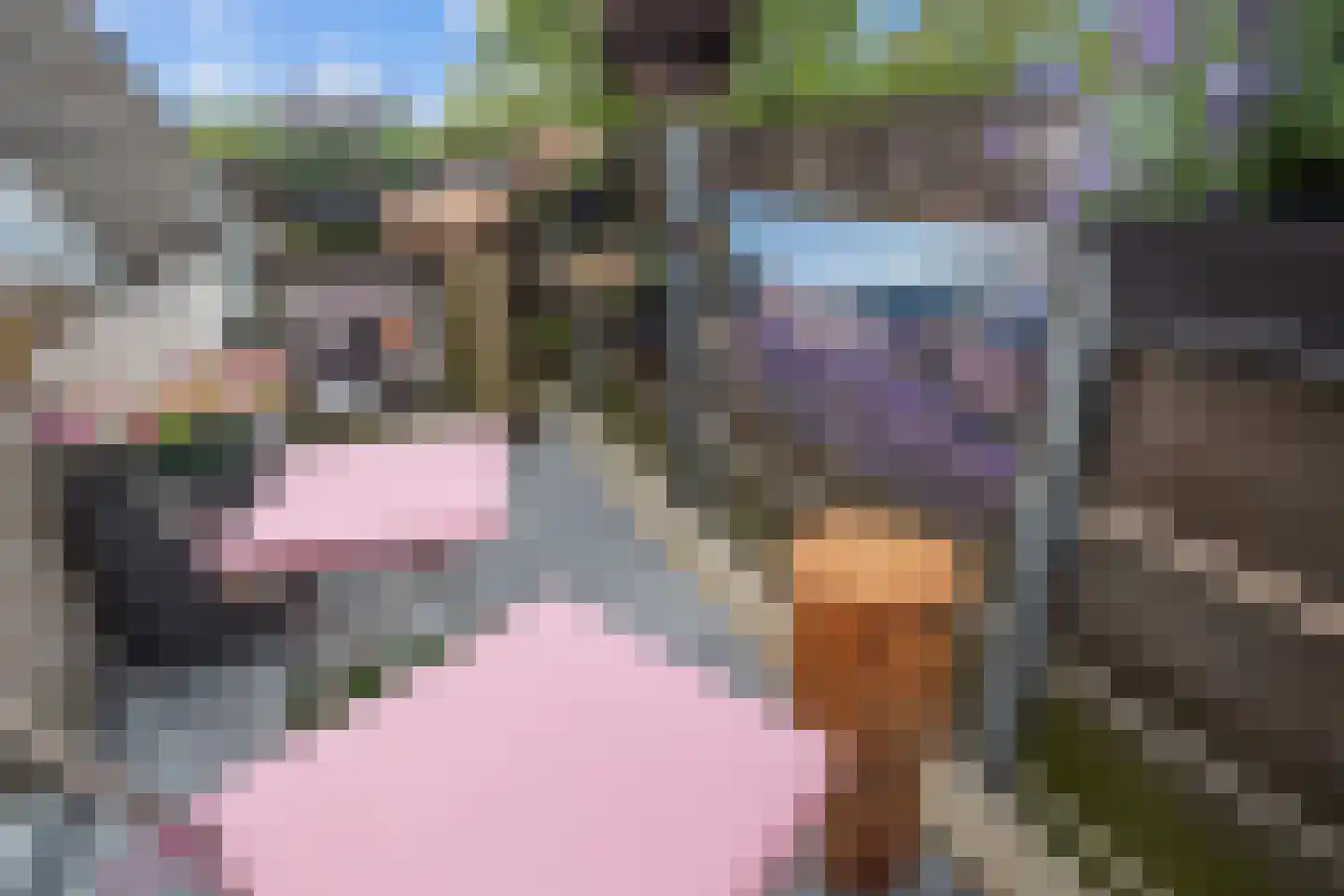 St.-Elisabethstraat 60 C Vught thumbnail 23