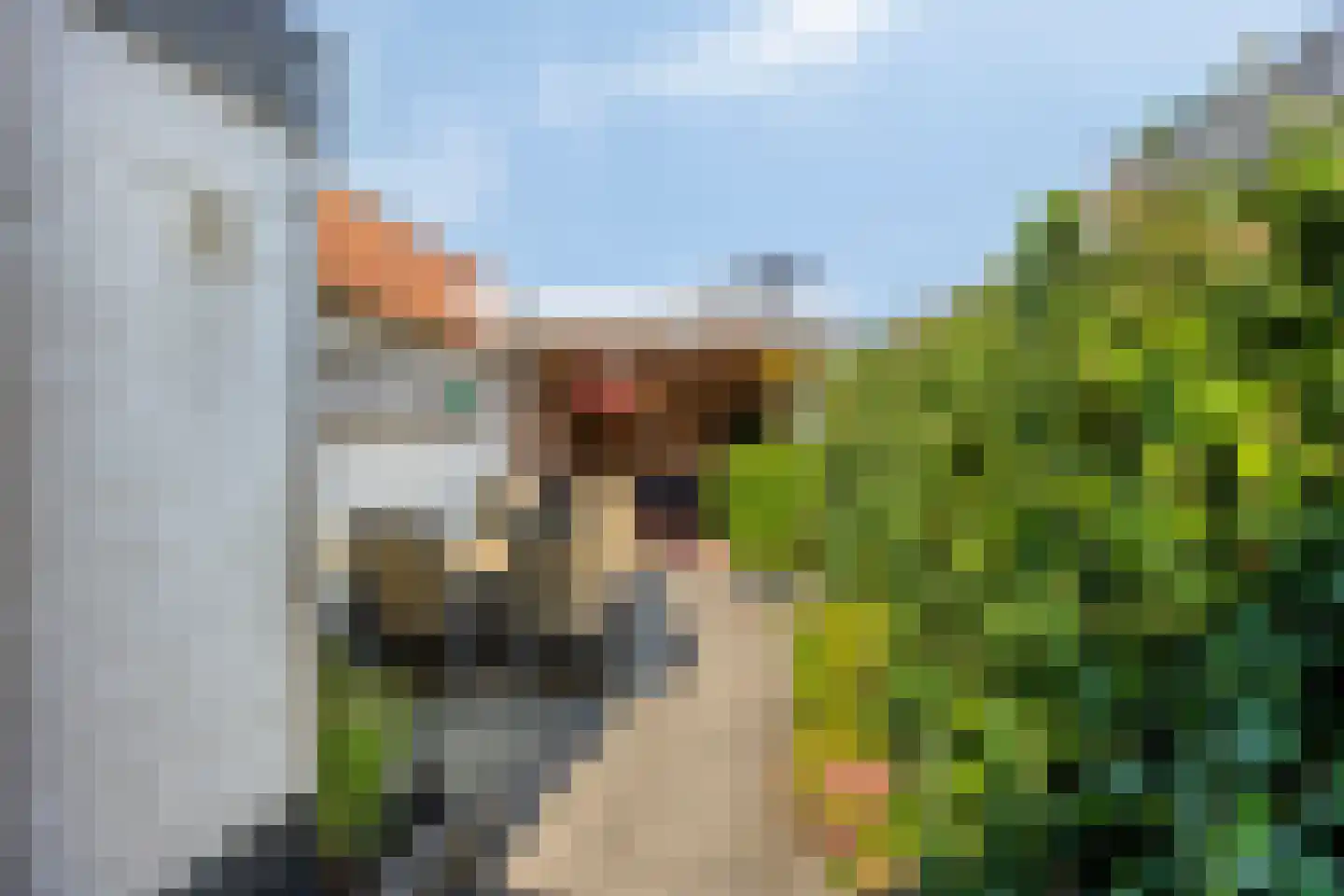 St.-Elisabethstraat 80 Vught thumbnail 28
