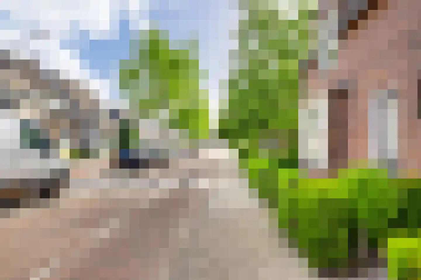 St.-Elisabethstraat 85 Vught thumbnail 8