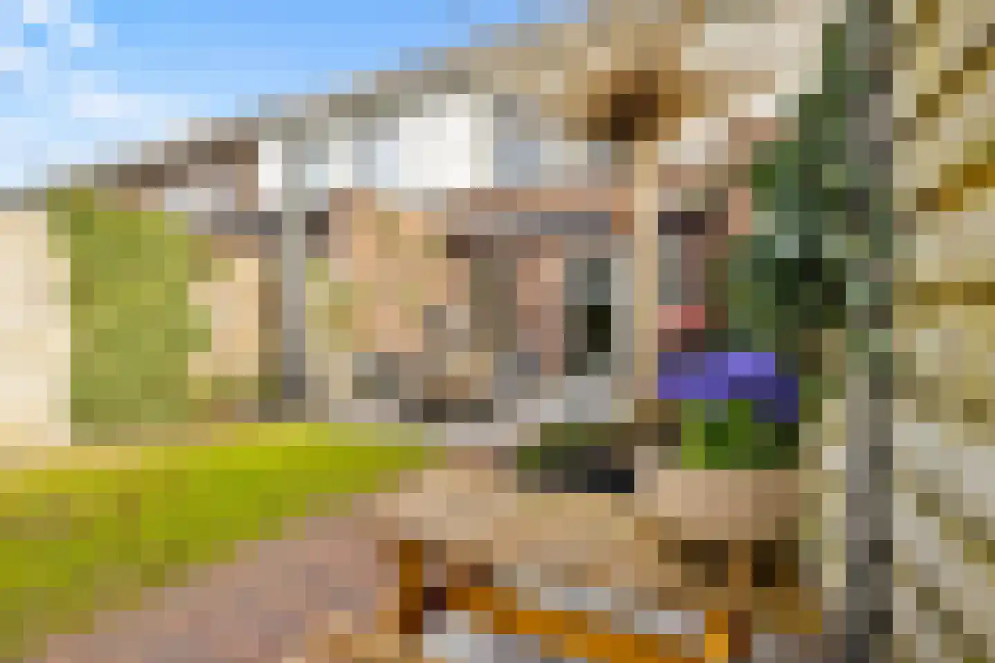 St. Eloy 11 Uden thumbnail 34