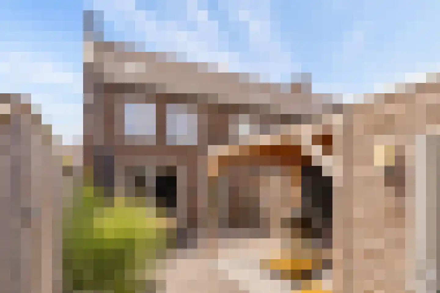 St. Eloy 20 Uden thumbnail 29