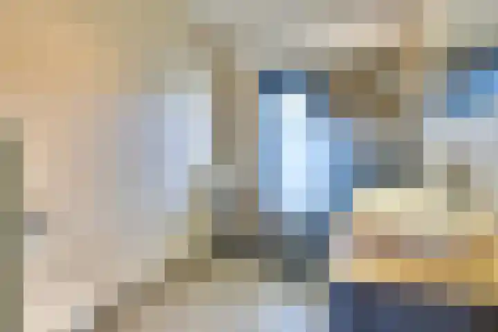 St. Eloy 8 Uden thumbnail 16