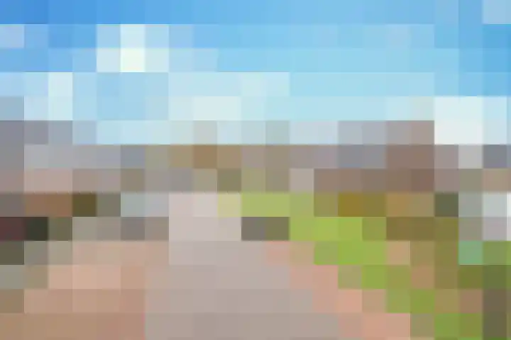 St. Eloy 8 Uden thumbnail 4