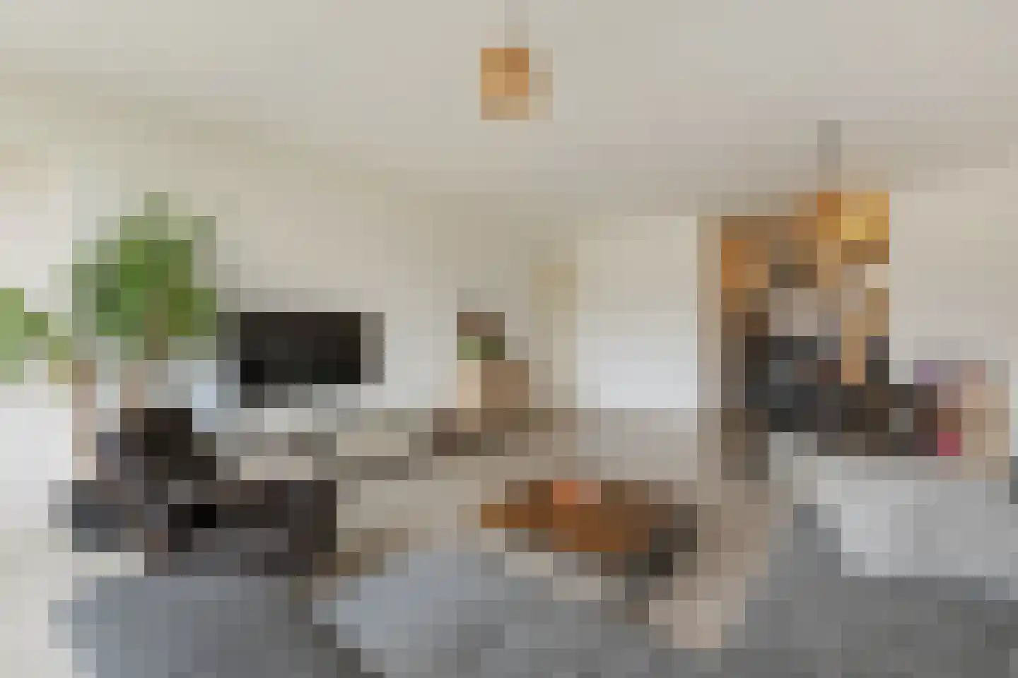 St.-Eustatiusdreef 314 Utrecht thumbnail 13