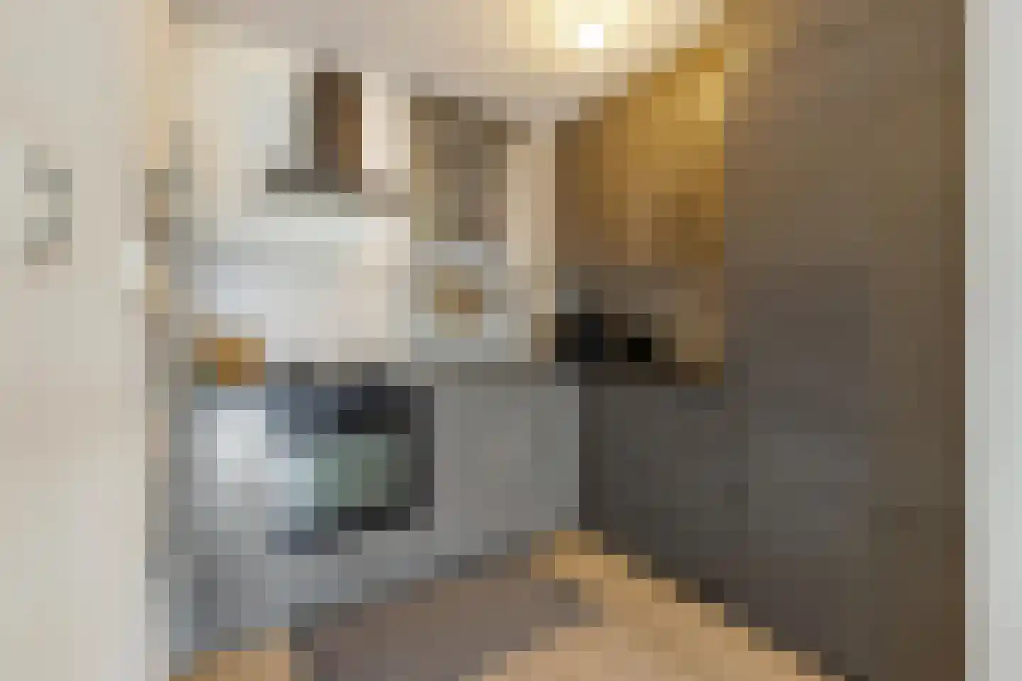 St.-Eustatiusdreef 314 Utrecht thumbnail 17