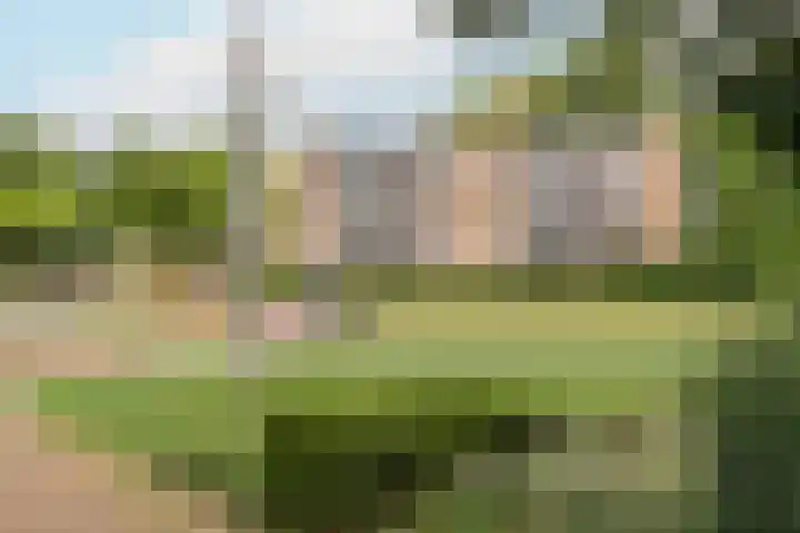 St.-Eustatiusdreef 378 Utrecht thumbnail 24