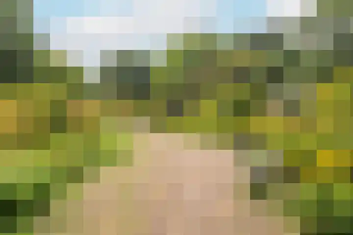 St.-Eustatiusdreef 378 Utrecht thumbnail 26