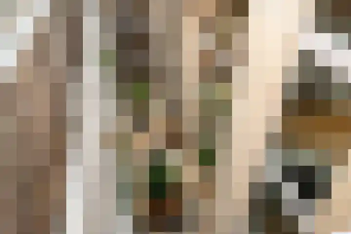 St.-Eustatiusdreef 378 Utrecht thumbnail 6