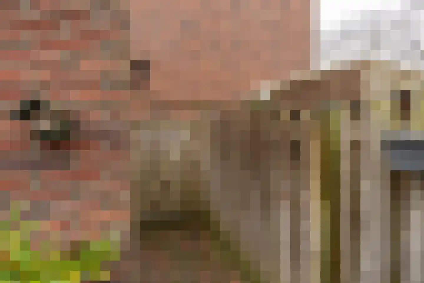 St. Franciscuslaan 41 Venray thumbnail 10