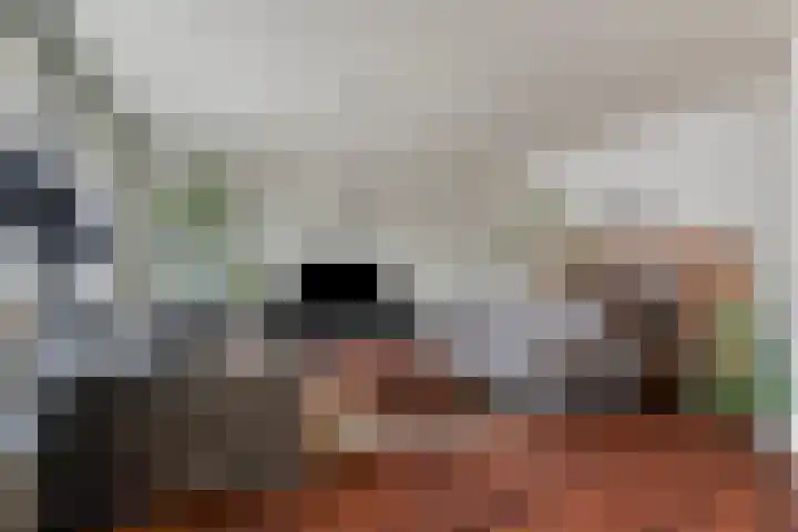 St. Geleijnstraat 2 Zuiddorpe thumbnail 11