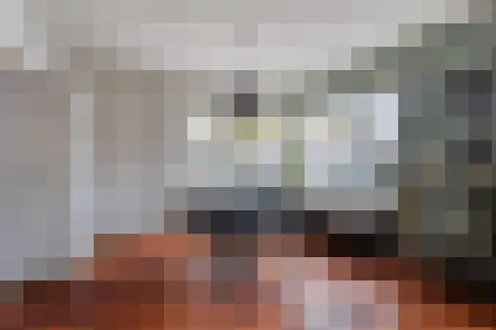 St. Geleijnstraat 2 Zuiddorpe thumbnail 13