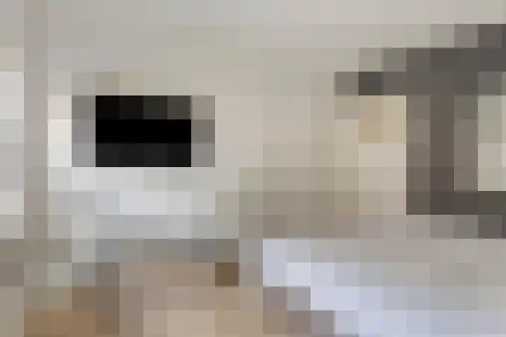 St. Geleijnstraat 2 Zuiddorpe thumbnail 32