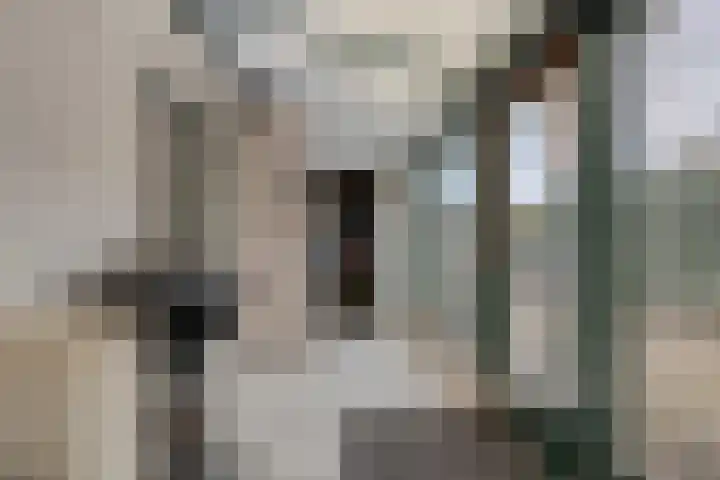 St. Geleijnstraat 2 Zuiddorpe thumbnail 39