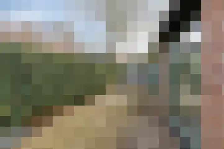 St. Geleijnstraat 2 Zuiddorpe thumbnail 4