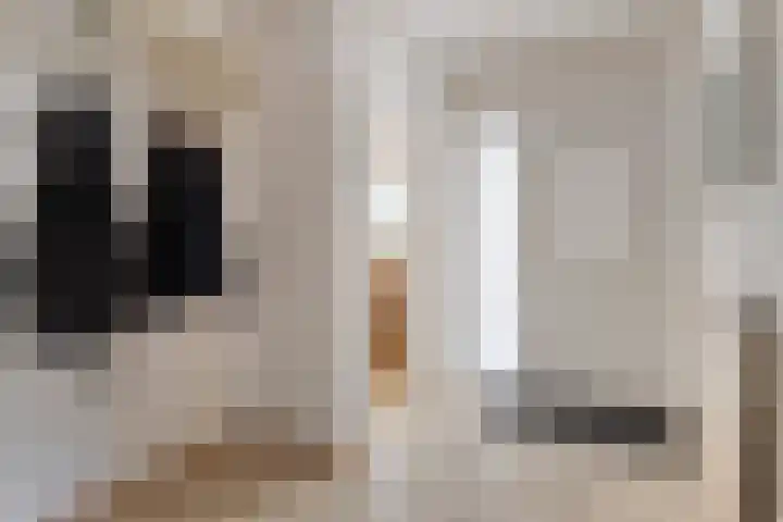 St. Geleijnstraat 2 Zuiddorpe thumbnail 8