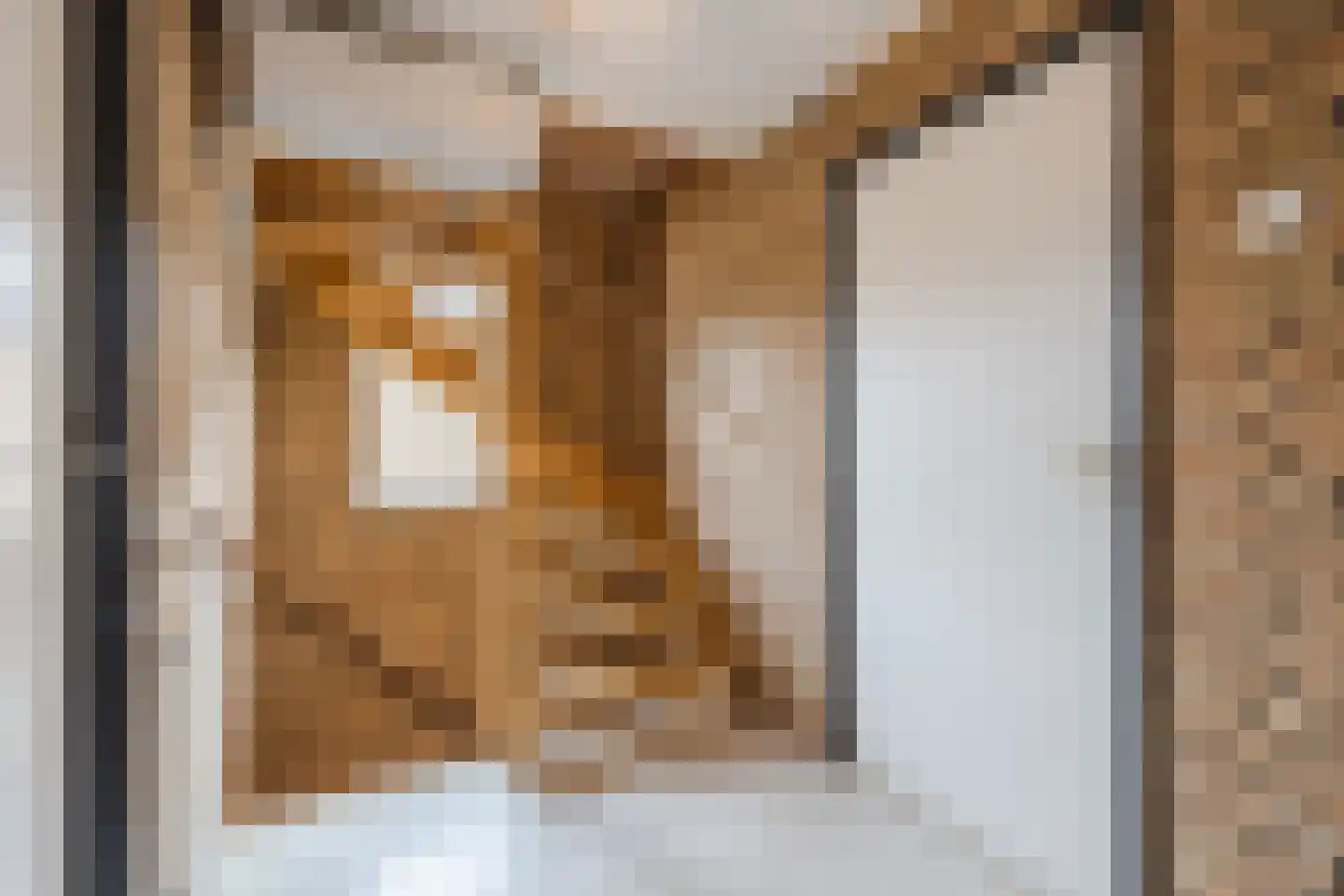St. Gerardushof 29 Bosschenhoofd thumbnail 34