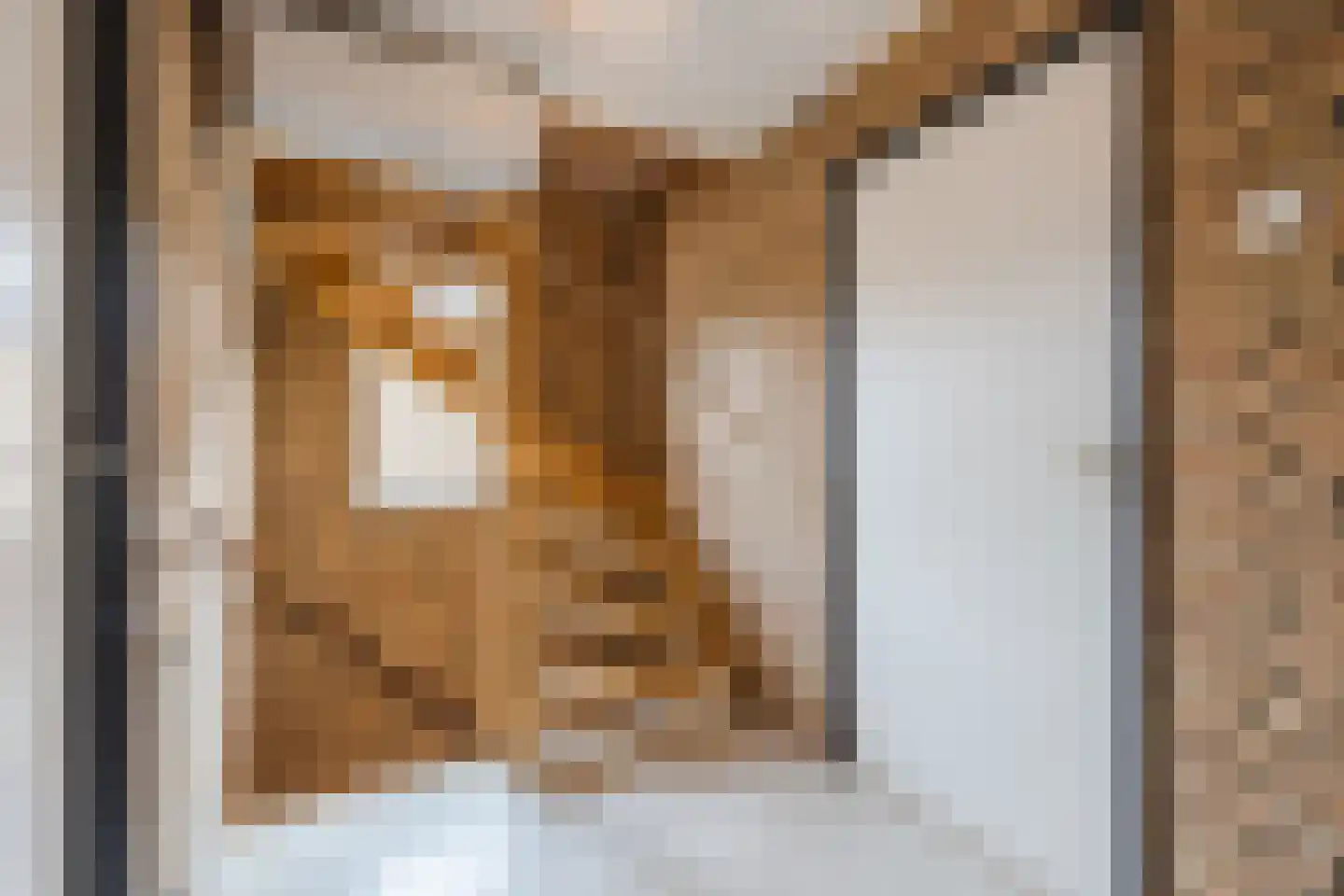 St. Gerardushof 29 Bosschenhoofd thumbnail 43
