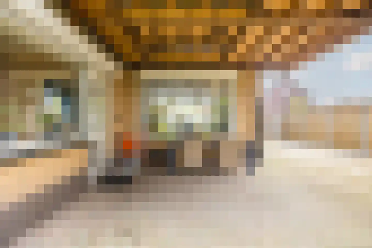 St. Gerardushof 29 Bosschenhoofd thumbnail 51