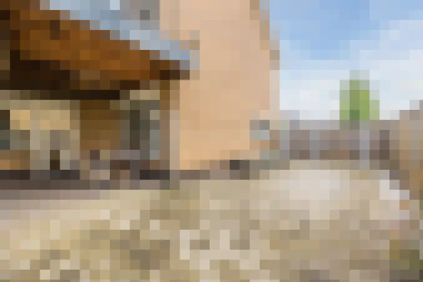 St. Gerardushof 29 Bosschenhoofd thumbnail 54