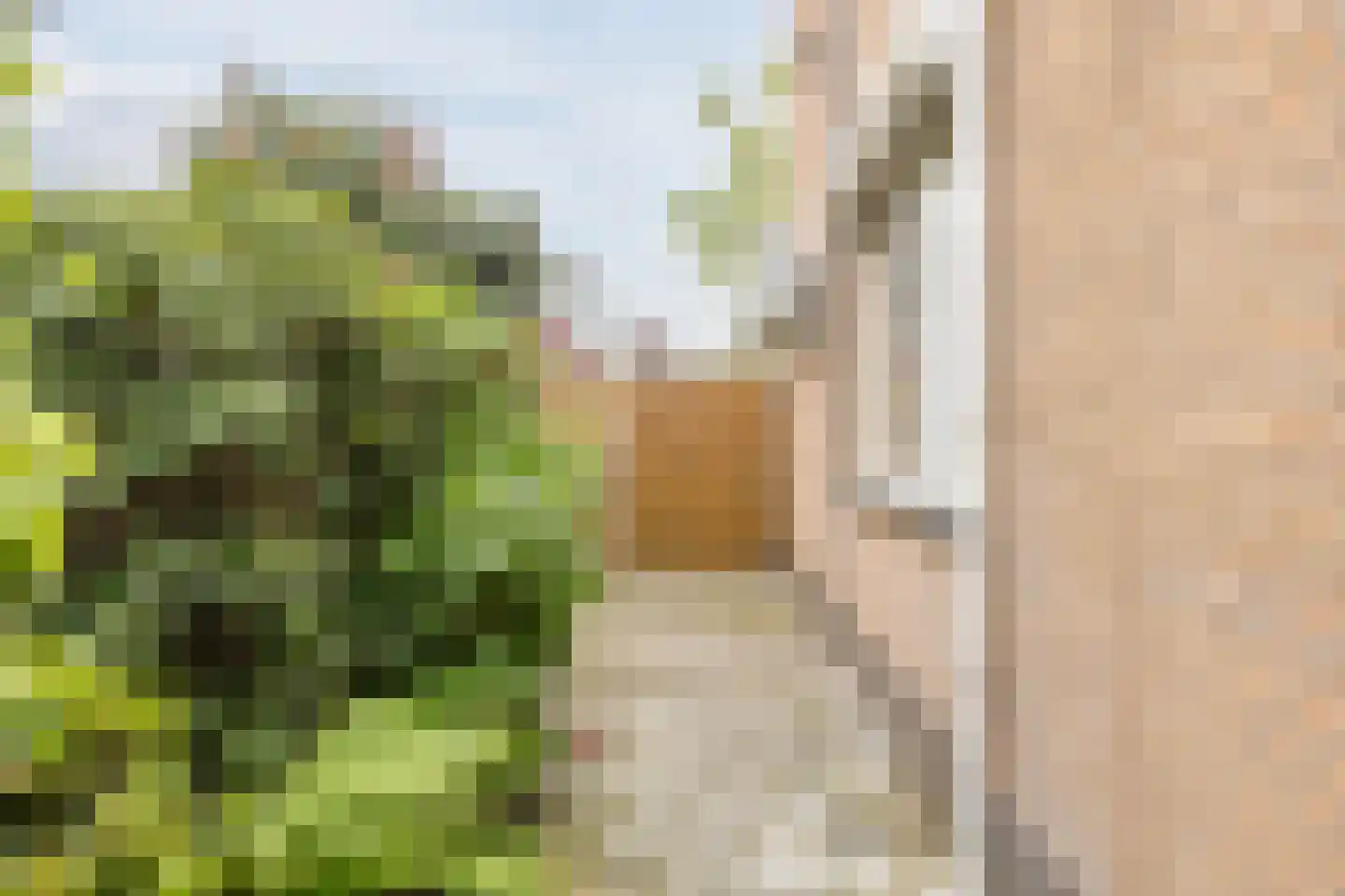 St. Gerardushof 29 Bosschenhoofd thumbnail 55