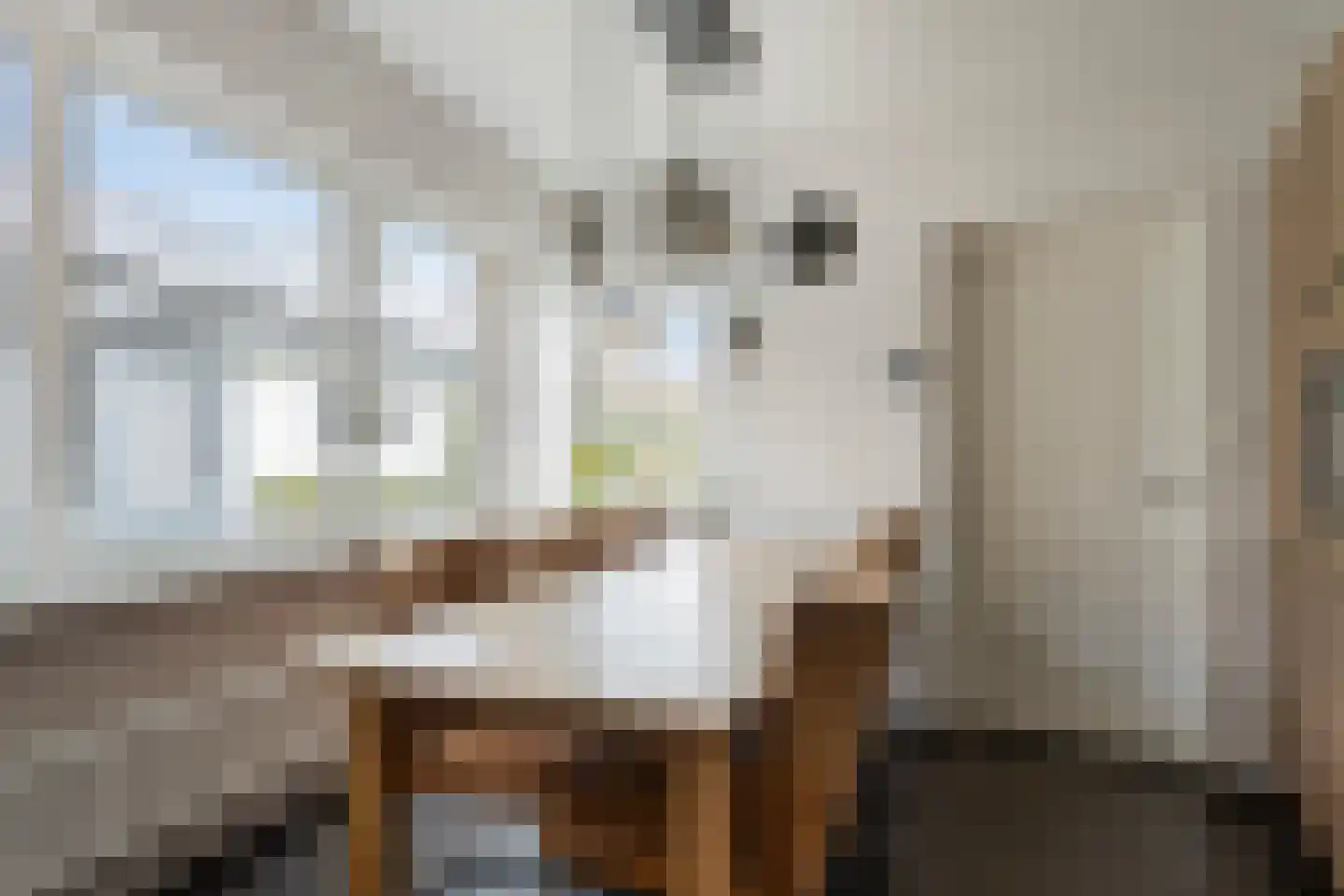 St. Gerardushof 9 Bosschenhoofd thumbnail 16