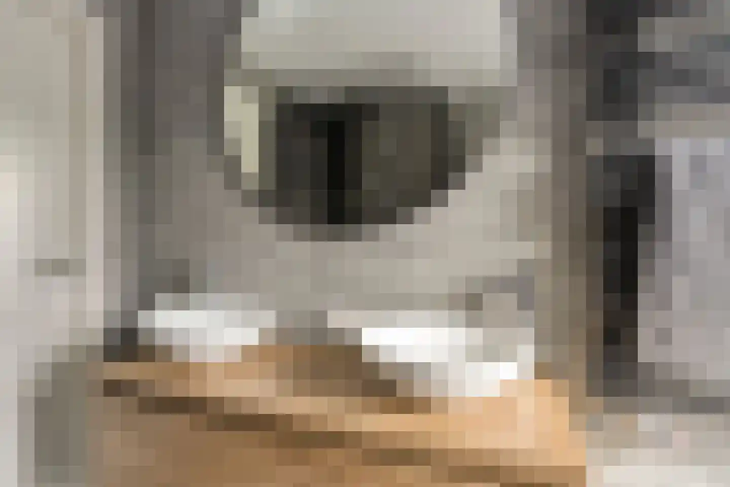 St. Gerardushof 9 Bosschenhoofd thumbnail 26
