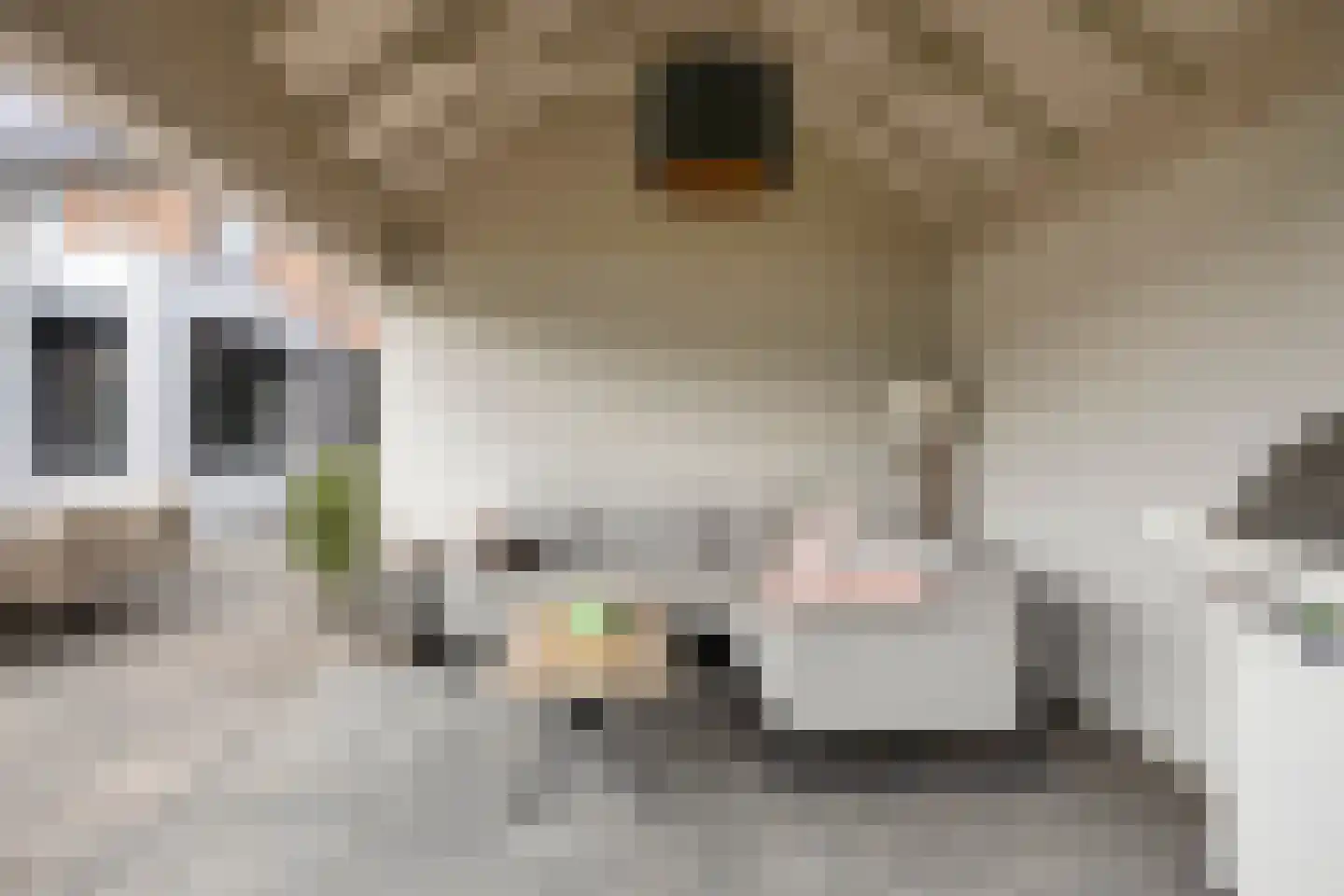 St. Gerardushof 9 Bosschenhoofd thumbnail 37