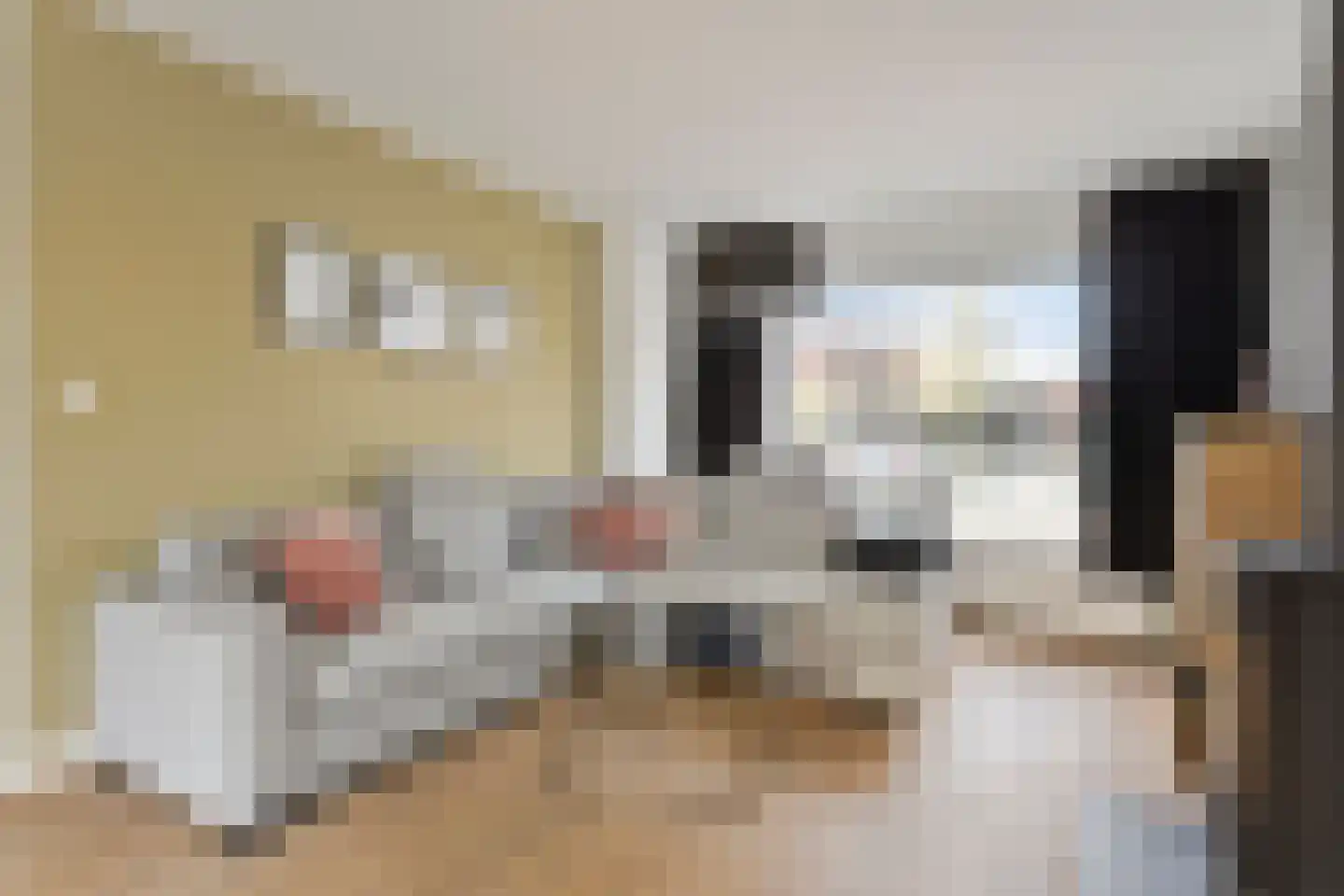 St. Gerardushof 9 Bosschenhoofd thumbnail 8