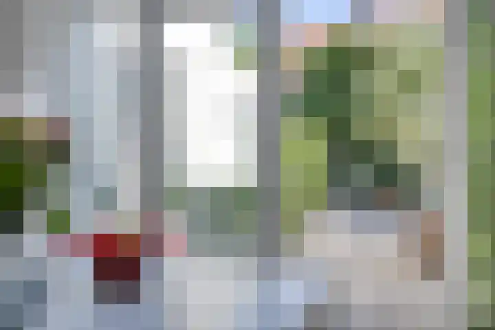 St Gerarduslaan 51 Eindhoven thumbnail 10