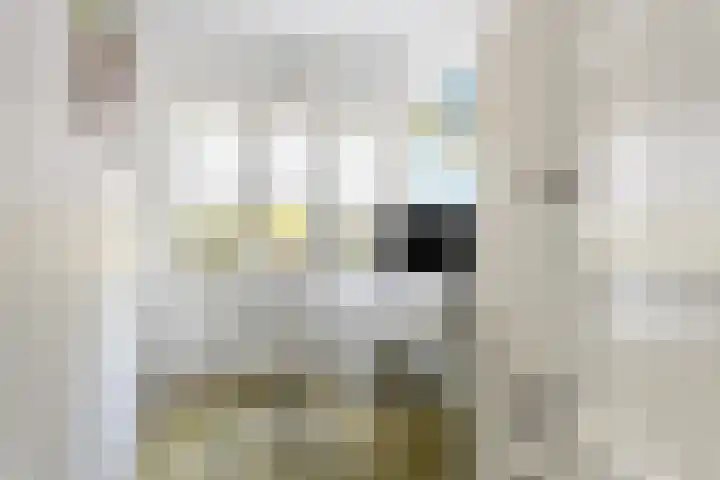 St Gerarduslaan 51 Eindhoven thumbnail 20
