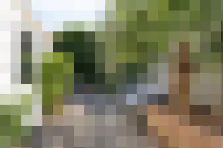 St Gerarduslaan 51 Eindhoven thumbnail 30