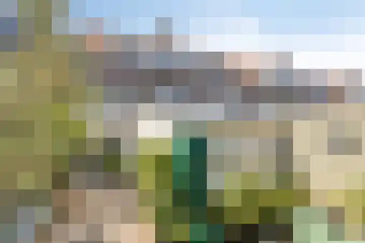 St Gerarduslaan 51 Eindhoven thumbnail 32